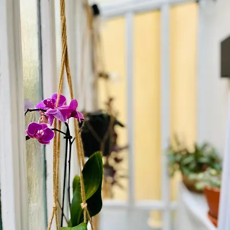 Apartamento Plein Coeur De : Duplex A Bastille París
